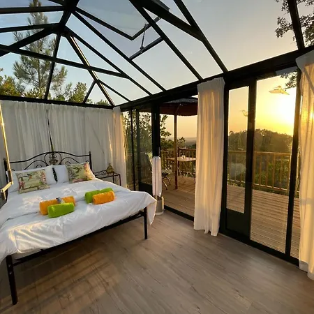 Romantic Skyview Glasshouses