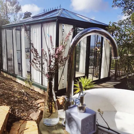 Romantic Skyview Glasshouses