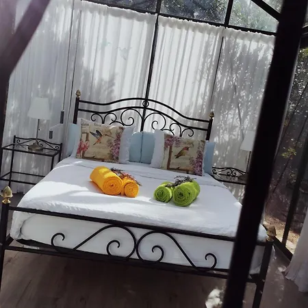 Romantic Skyview Glasshouses
