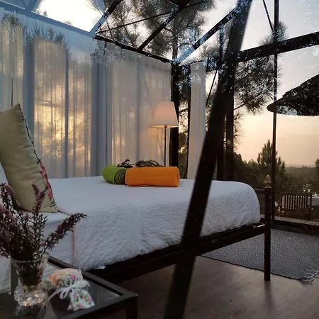 Romantic Skyview Glasshouses *